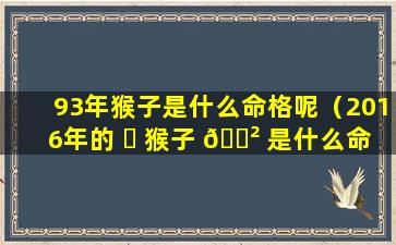 93年猴子是什么命格呢（2016年的 ☘ 猴子 🌲 是什么命格）